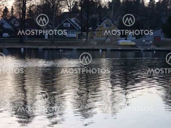 mirror (surface) of the water