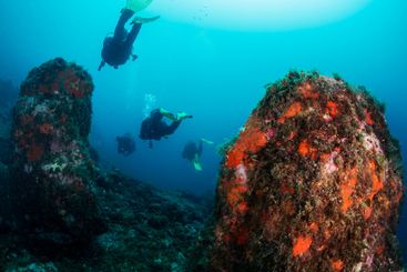 scuba divers diving near rough rocky formation