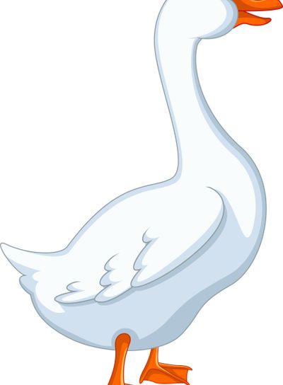 White domestic goose cartoon