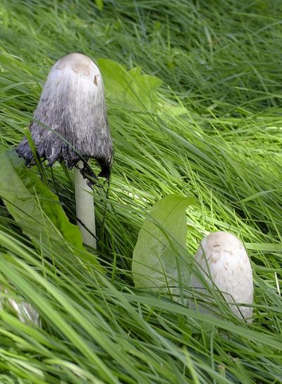 Autumn is coming soon 