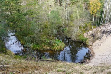 Baltic seaside wild nature landscape, White Dune in Roja...