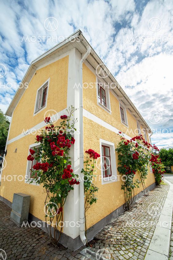 Old cobblestone street with red roses.