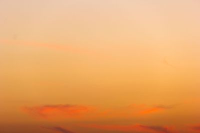 image, photo, plant, bloom, blossom, nature, king, being,...