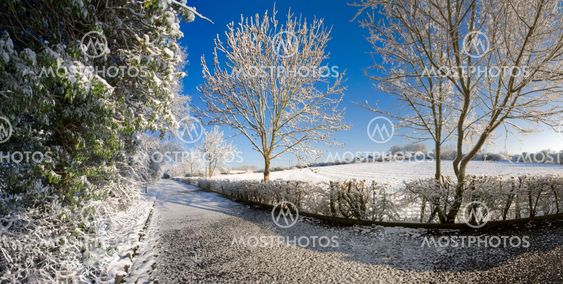 snow
