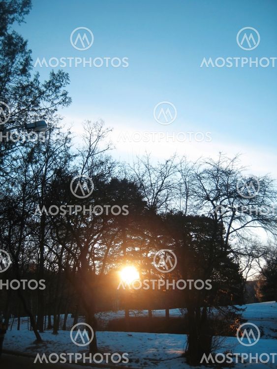 Sunrise in the winter forest. Caucaus nature