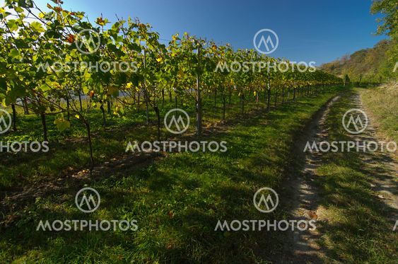 Kaiserstuhl