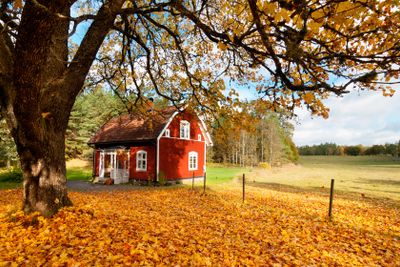 Traditional red painted wooden house in Sweden in autumn
