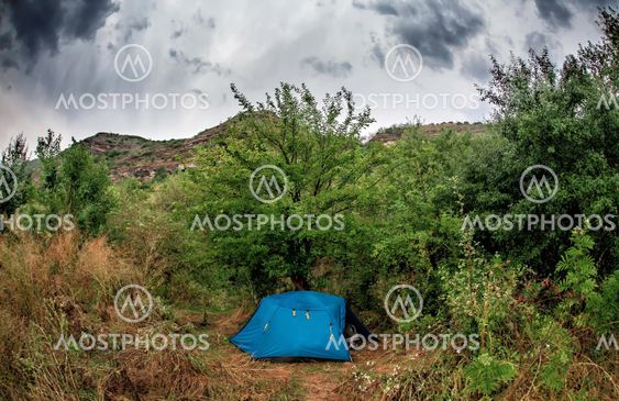 Blue tent in the bush