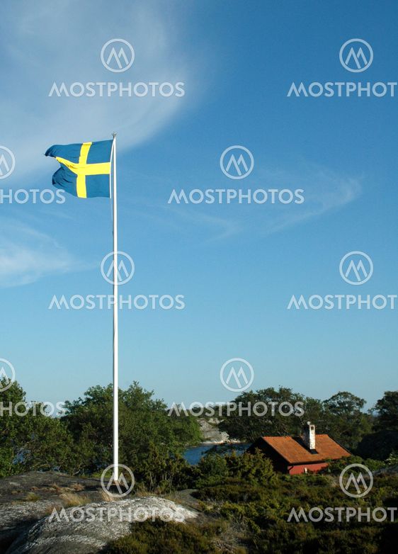 Swedish flag 1