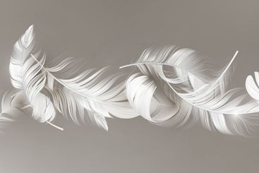 Delicate white feathers floating gently