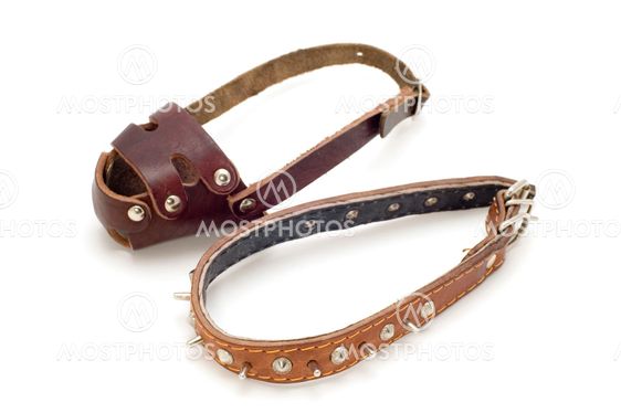 muzzle and collar