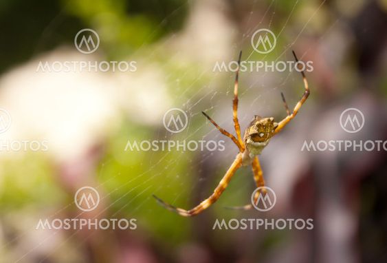 invisible web