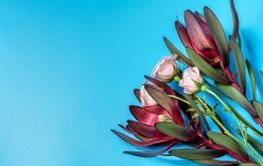 Beatiful bouquet of flowers on blue background and copy...