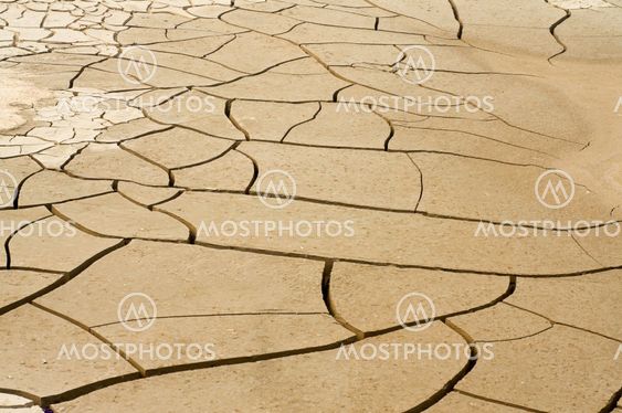Arid