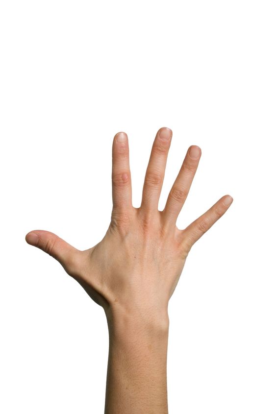 Open back hand