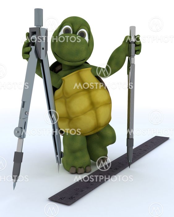 tortoise with drawing aids