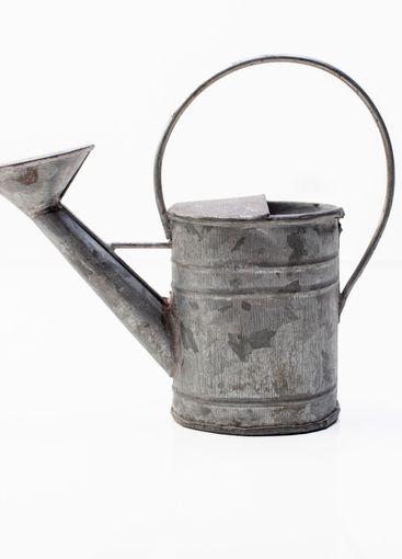 en vattenkanna i zink isolerat mot vitt