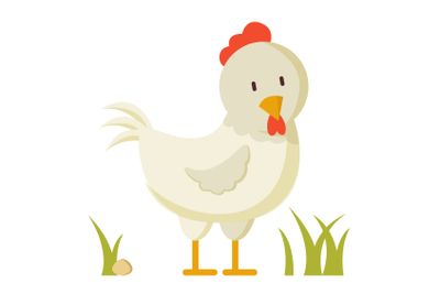 Domestic Bird White Hen Crest Illustration Poster