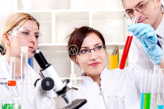 portrait of a group of chemists