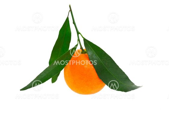 Mandarin