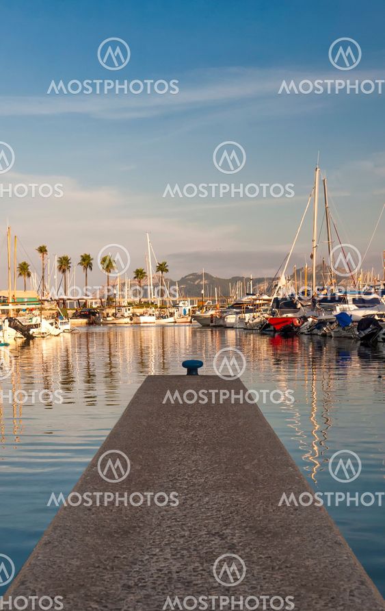 Pollensa marina