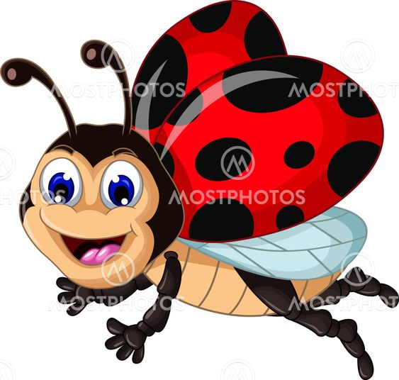 funny ladybugs flying cartoon for your design