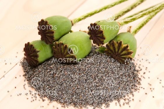 Poppy seeds and poppy heads