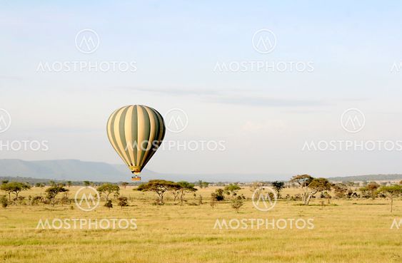 Hot air balloon
