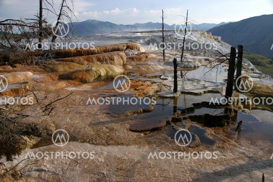 Mammoth Hot Springs
