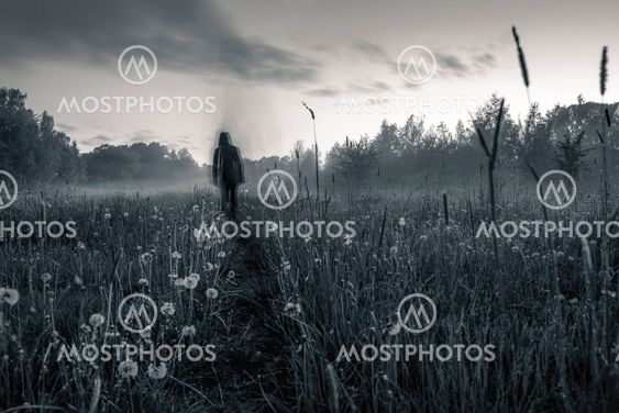Summermist