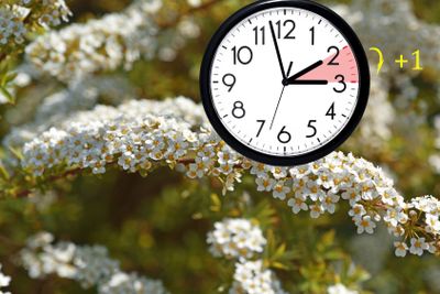 Daylight Saving Time. DST. Wall Clock going to winter time.