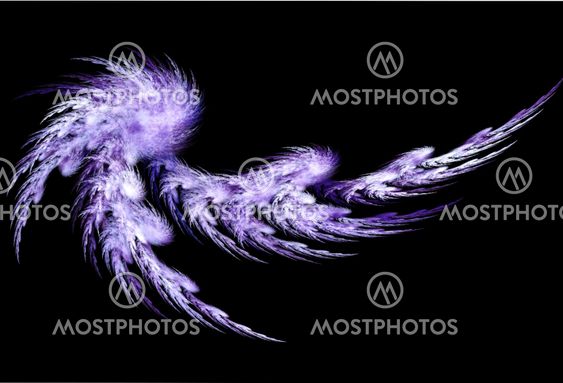 Light violet abstract feather