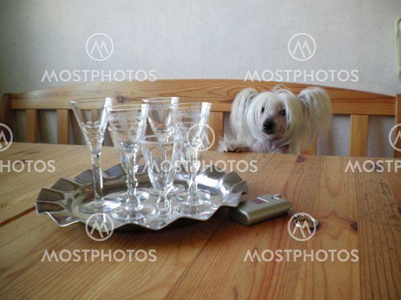 Snappsglas