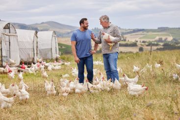 Smile, father and son with chickens at poultry farm for...