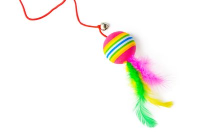 Cat toys isolated on white background studio shot