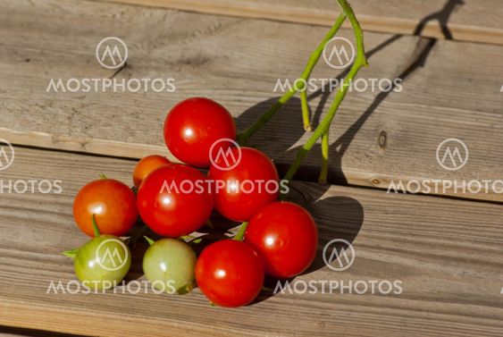 Tomatoes