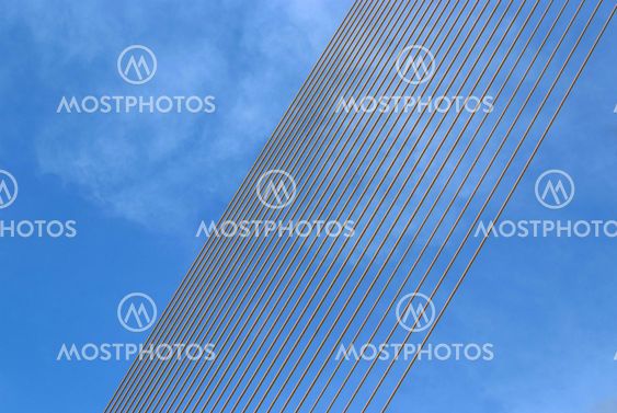 Cables of the bridge