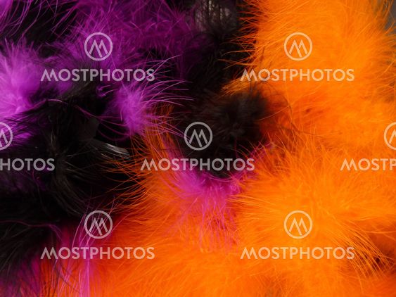 Background - colourful feathers