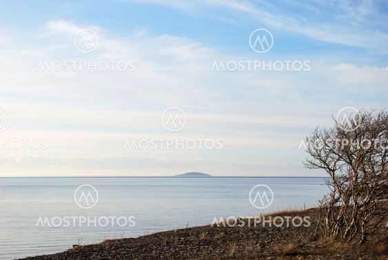 Tree at peaceful coastline