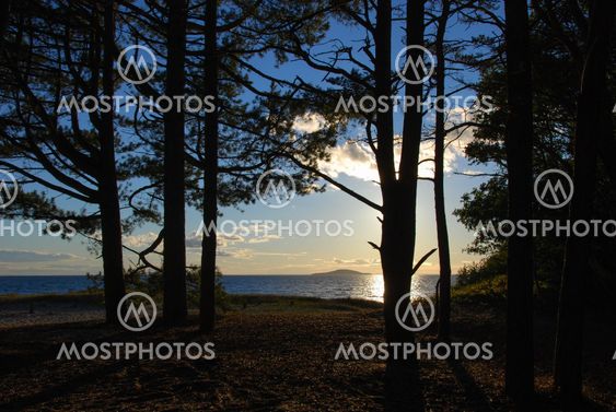 Summer evening view by the coast