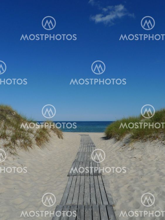 Pathway to the sea