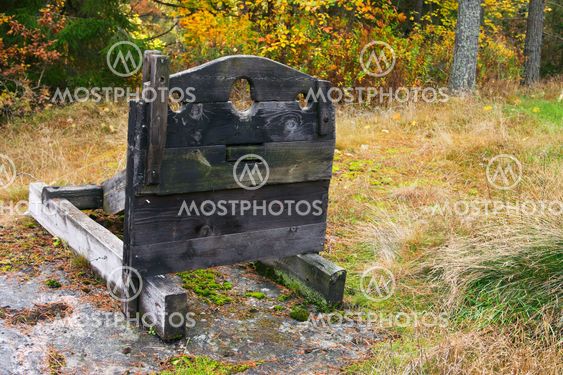 Skamstock