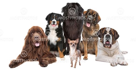me and my big friends