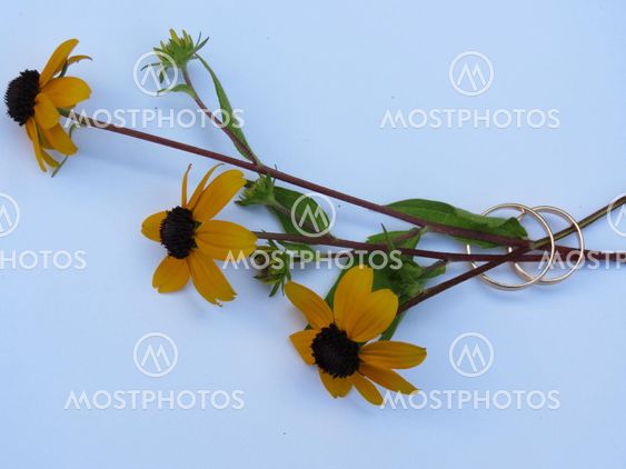 Wedding rings and three yellow flowers