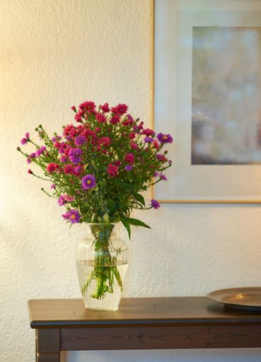 Flowers, home and interior design for decoration,...