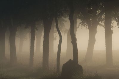 Alé i Hölö Sörmland