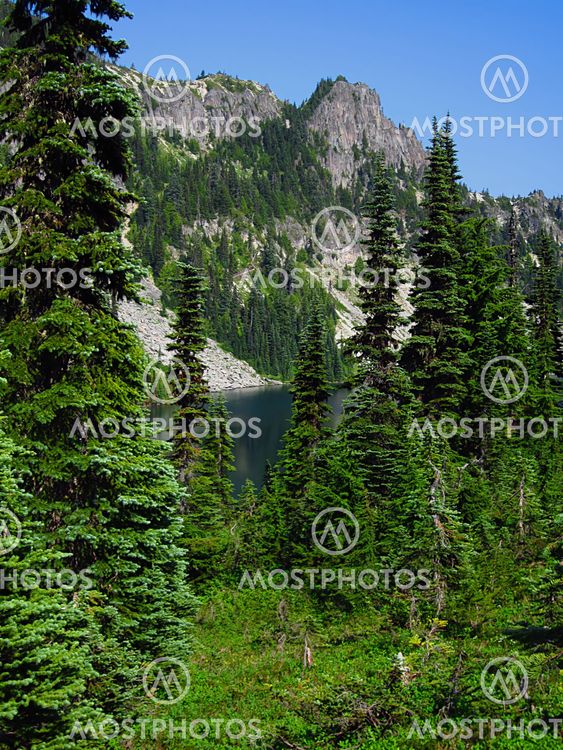 Mountain Landscape