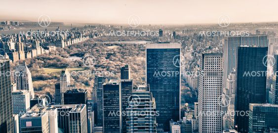 Central Park and surrounding Skyscrapers in Winter