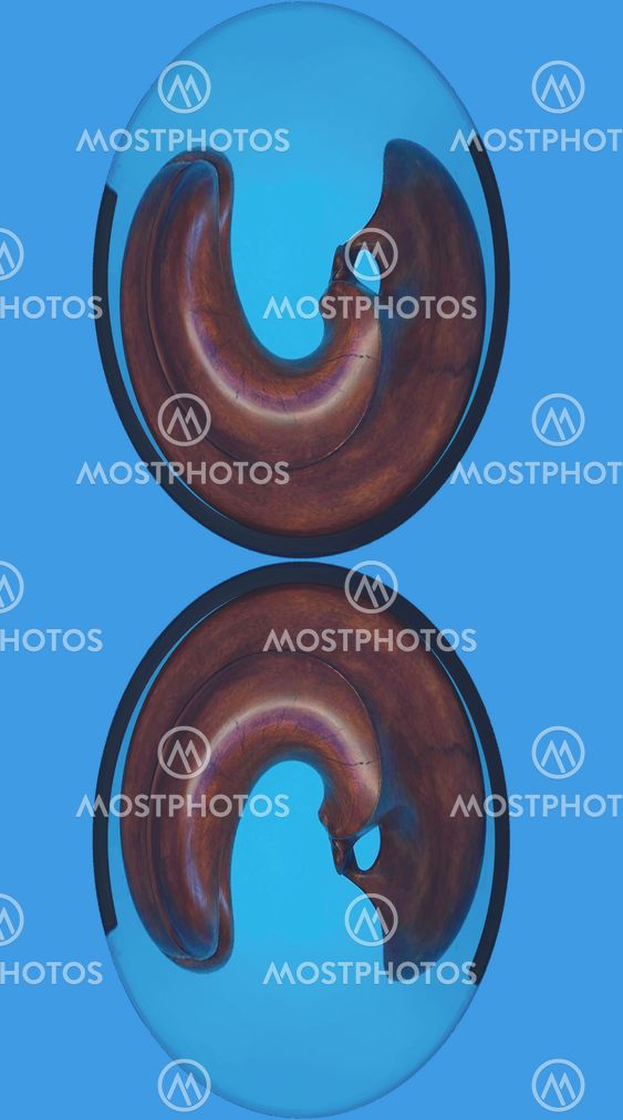 Reflected wooden moon