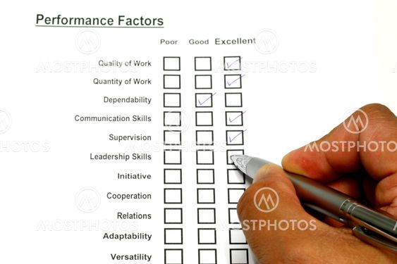 Performance Evaluation Form